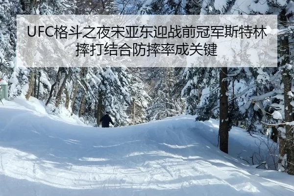 ge-dou-zhi-ye-song-ya-dong-ying-zhan-qian-guan-jun-si-te-lin-shuai-da-jie-he-fang-shuai-lv-cheng-guan-jian-2-916.jpg